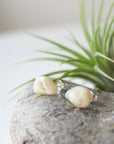 Left angle close-up of natural polished moonstone stud earrings highlighting creamy glow and subtle colour variation, June birthstone studs.