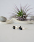 Blue Tigers Eye Stud Earrings - Sterling Silver