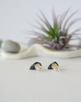 Blue Tigers Eye Stud Earrings - Sterling Silver