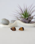 Tiger's Eye Stud Earrings - Sterling Silver