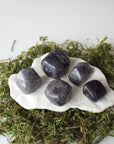 (NEW) Sapphire - Bundle Bag Designs by Nature Gems